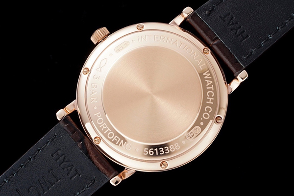 アイ・ダブリュー・シー全体デザイン